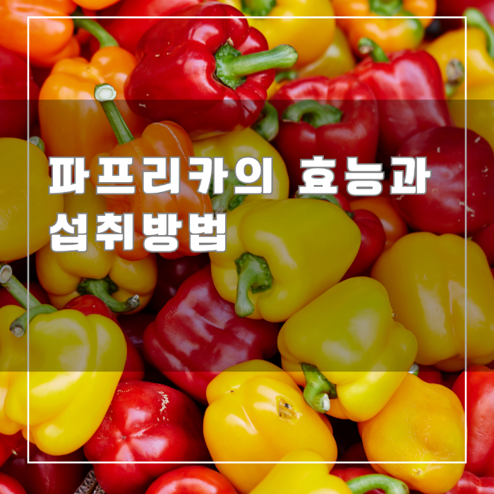 파프리카의 효능과 섭취방법