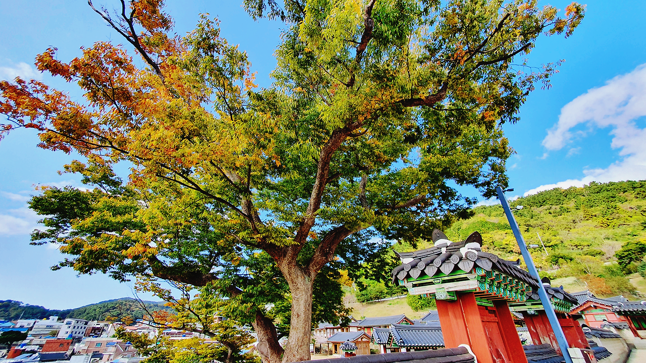 통영 가볼만한 곳 베스트 10