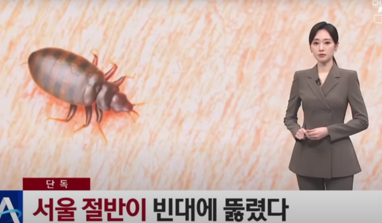 빈대 1