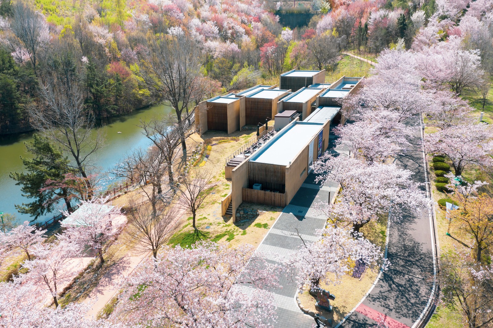 경주박물관,경주여행, 경주아이와가볼만한곳, 비오는날경주, 아이와가볼만한곳, 여름실내경주, 여름실내가볼만한곳, 경주동궁원, 동궁원,경주식물관, 경주버드파크,경주엑스포공원,
