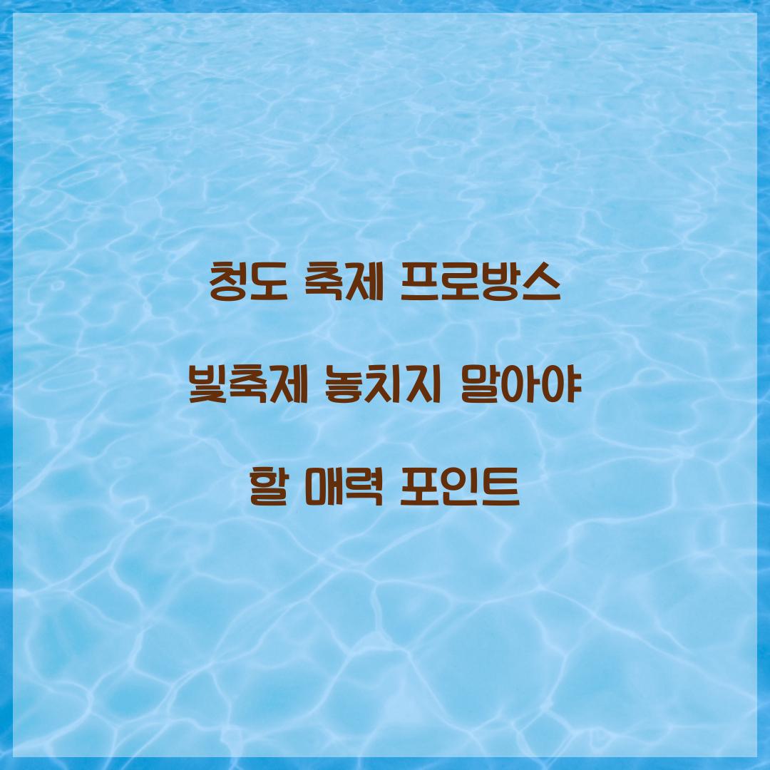 청도 축제 프로방스 빛축제