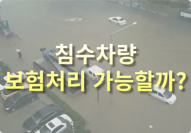 침수차량 보험처리