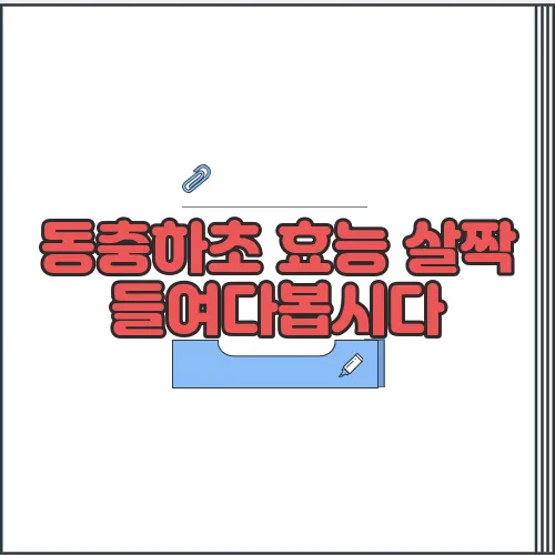 동충하초 효능 살짝 들여다봅시다