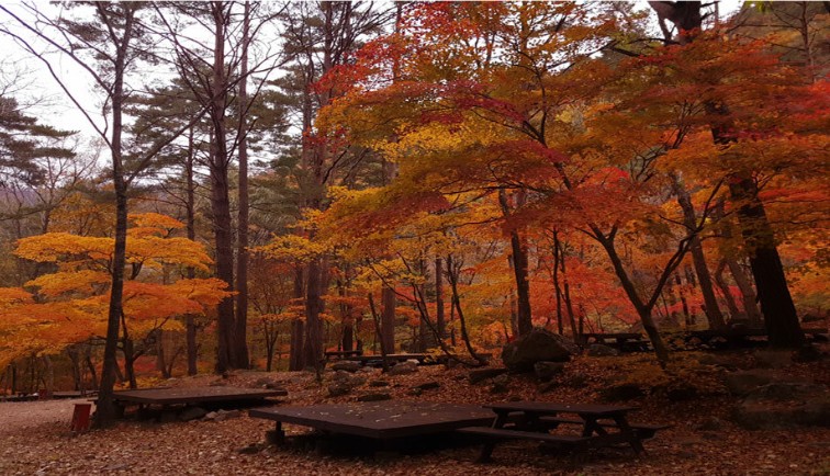 방태산자연휴양림 야영데크