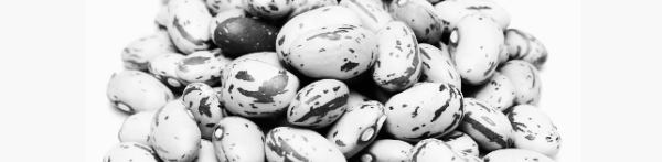 호랑이콩 수확시기: 고유의 호랑이 무늬