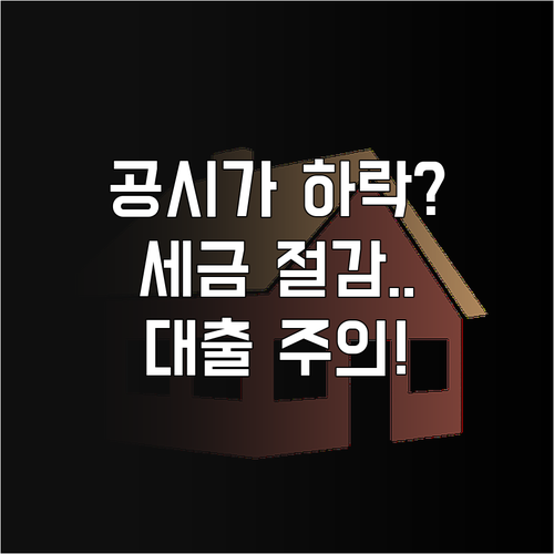 부동산 공시가격 낮을 때 장점과 대출..