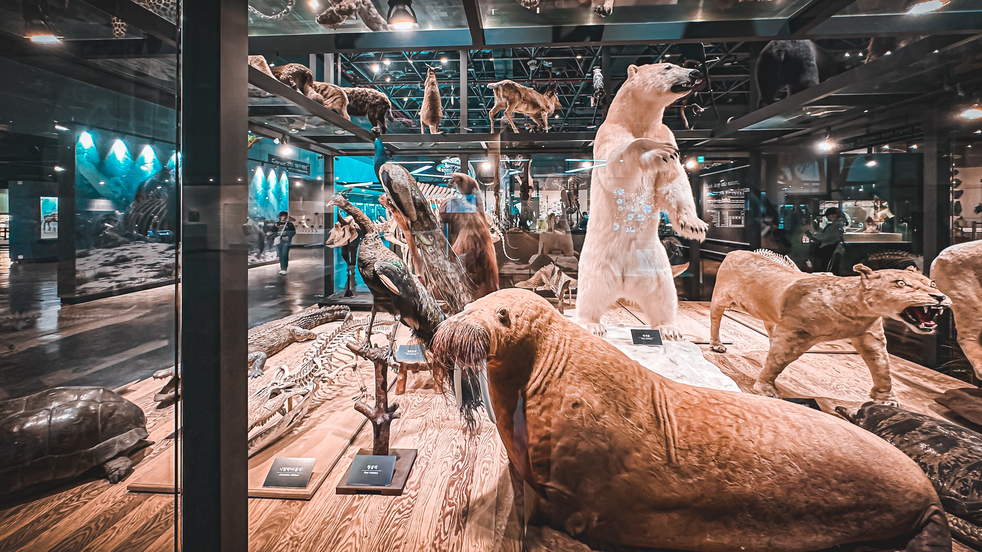 국립 중앙 과학관