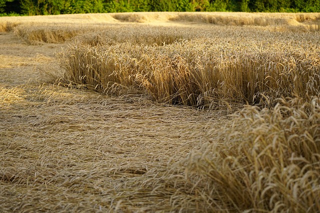맺음말 &ndash; 태안지진이 던진 메시지