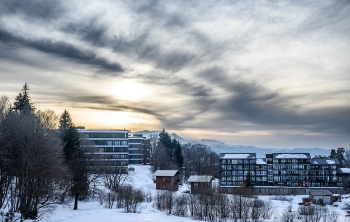 보건증 검사항목 쉽게 정리 8