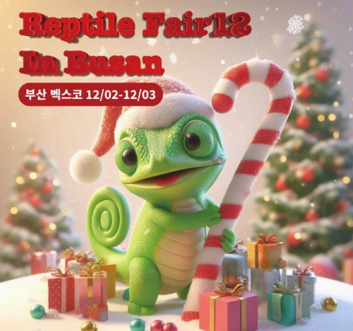 부산_렙타일페어_포스터