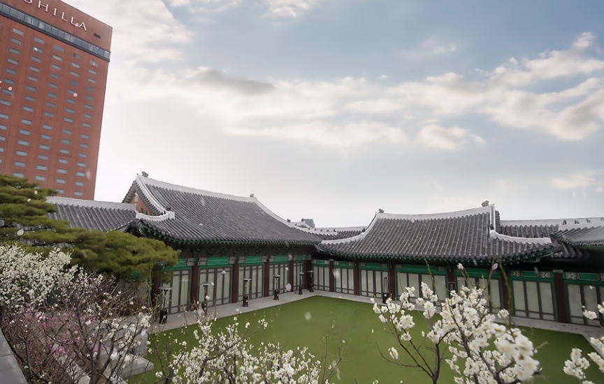 벗꽃이 펴있는 신라호텔 앞 한옥