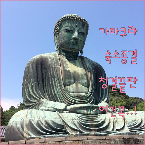 가마쿠라역 근처 숙소 추천 청결도 높..