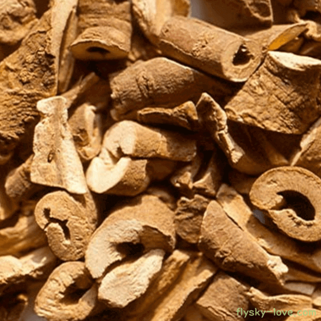 어혈 제거에 효과적인 목단피