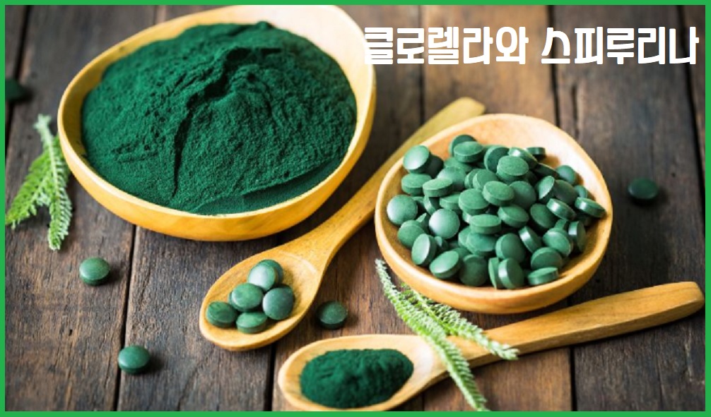 클로렐라와 스피루리나
