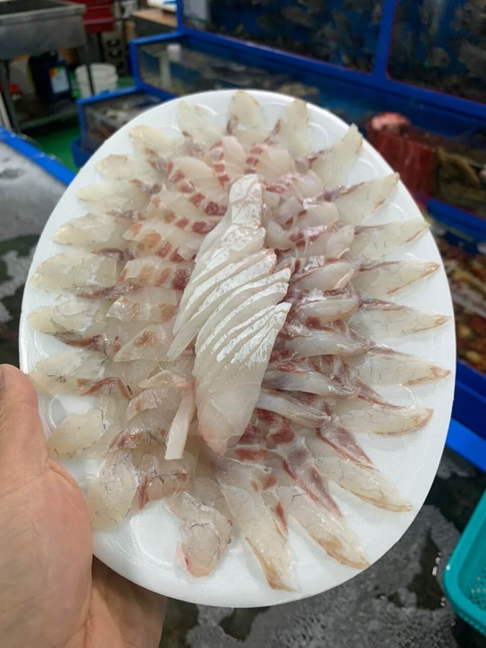 6시내고향 충남 서천 광어요리 맛집 원양호 수산물 온라인 주문