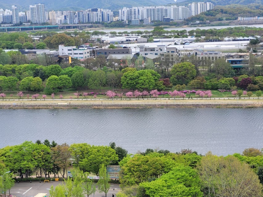 미사경정공원 호수와 건너편 겹벚꽃 위치 전체 구조