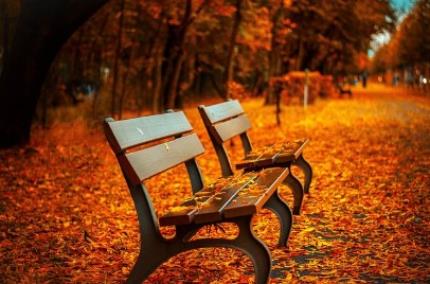 서울단풍명소 추천