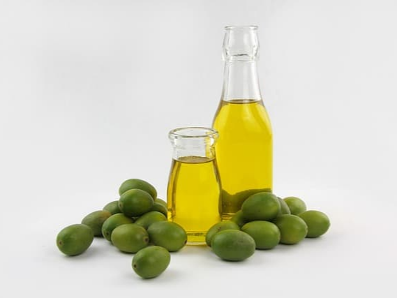 올리브유 학습능력 유지