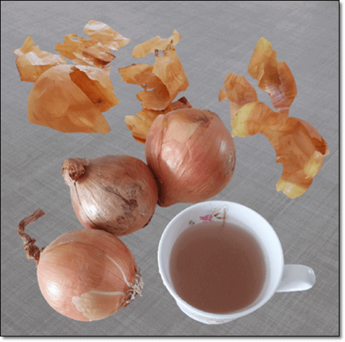 양파껍질 차 효능