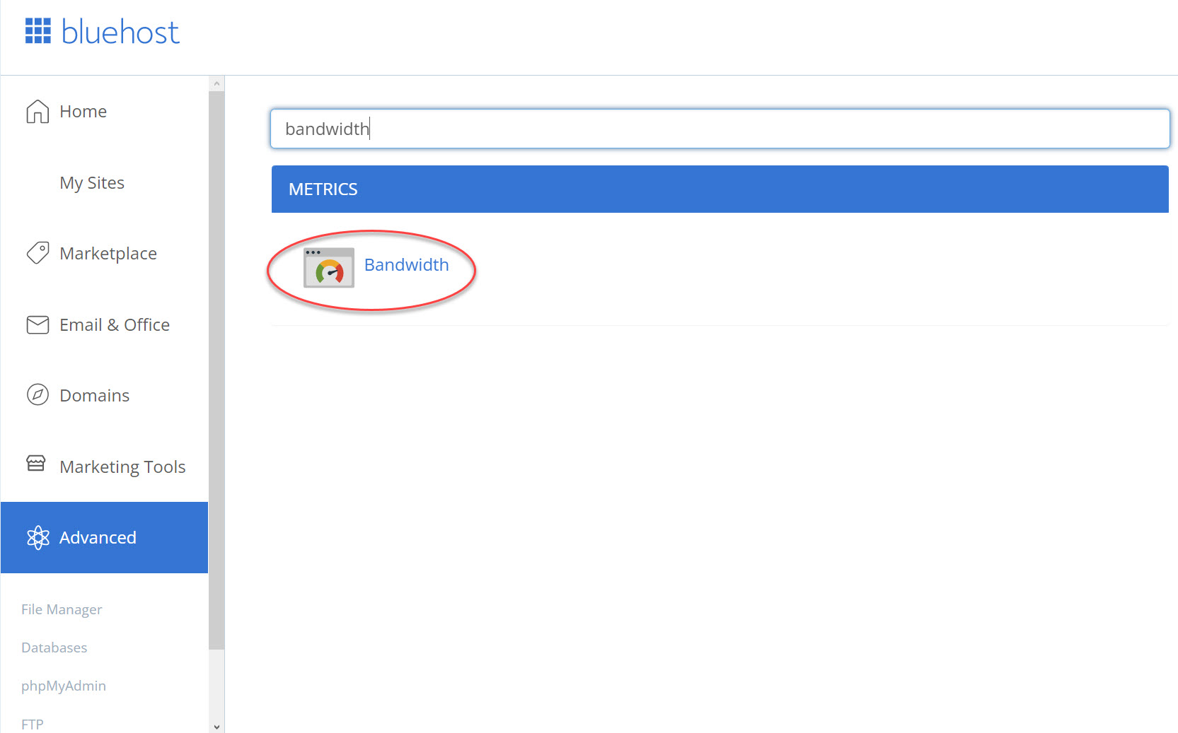 블루호스트에서 최근 방문자 IP 주소 확인하는 방법 (cPanel) - 트래픽 확인