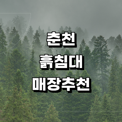 춘천시 흙침대