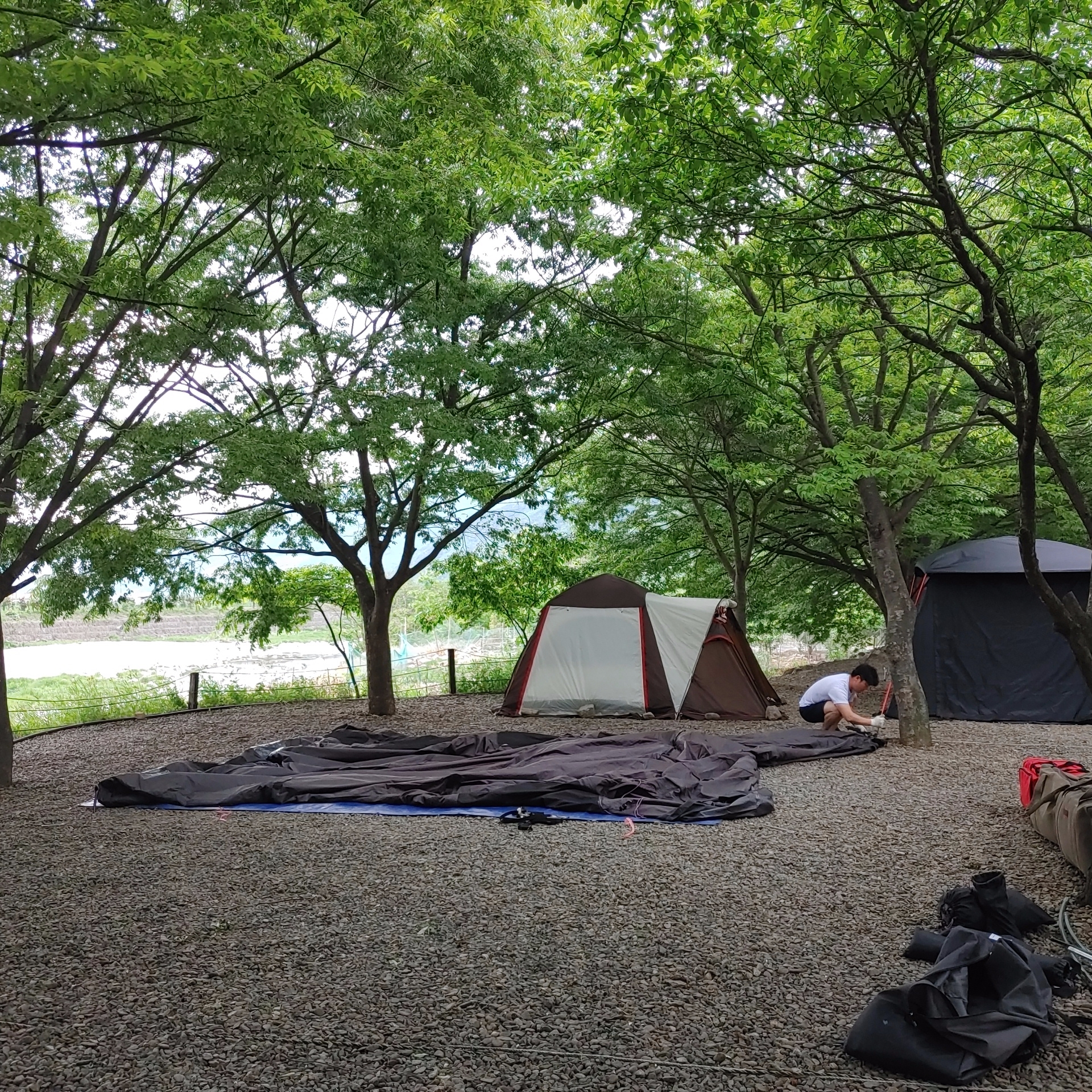 아이비_캠핑장_텐트치는_아빠