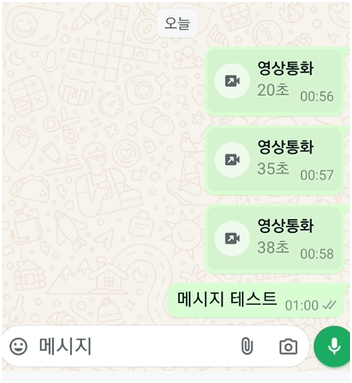 대화 화면