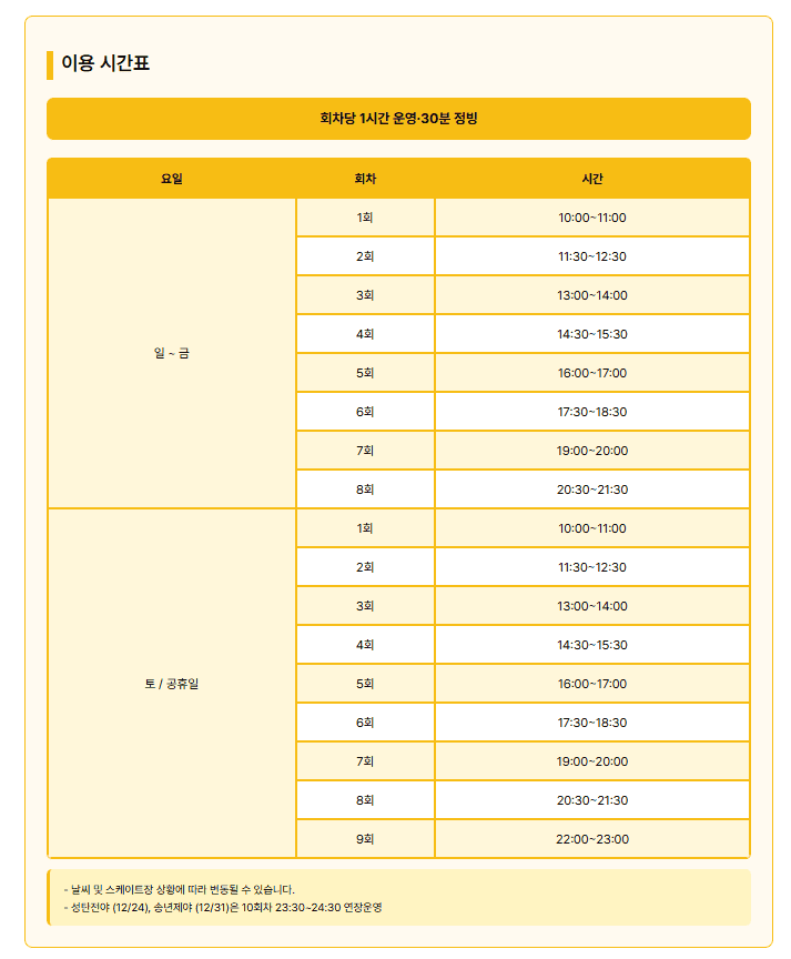 서울광장 스케이트장