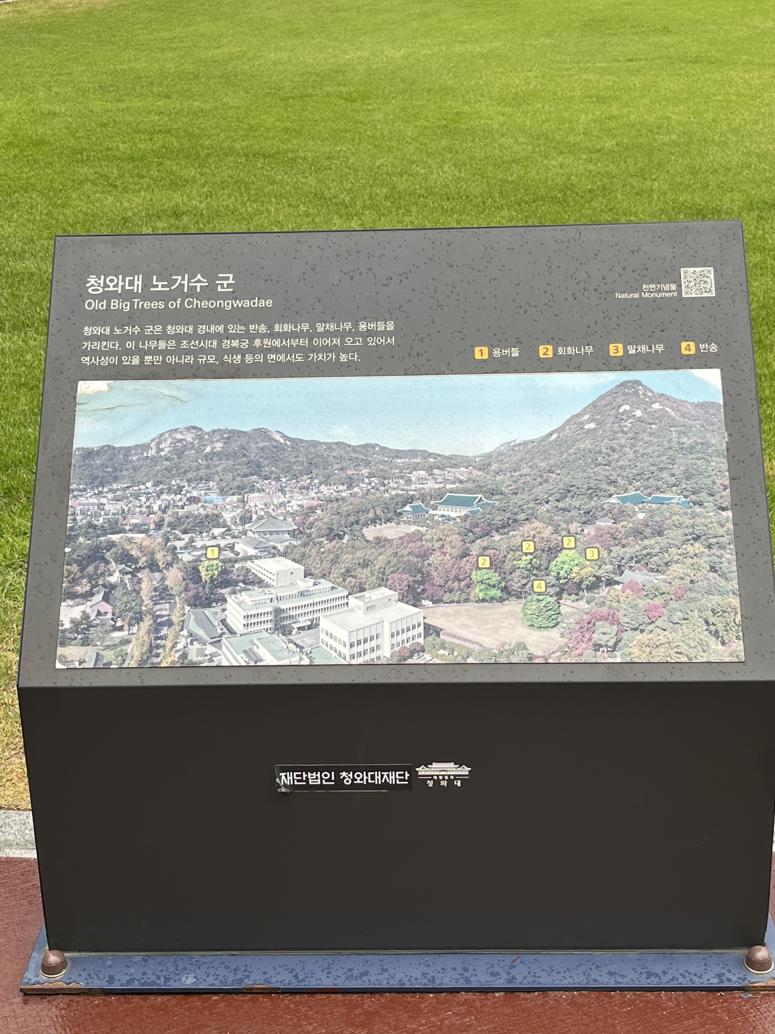 청와대 관람후기