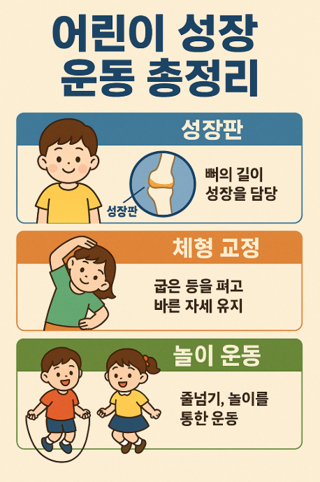 어린이 성장운동 총정리 (성장판, 체형, 놀이운동)
