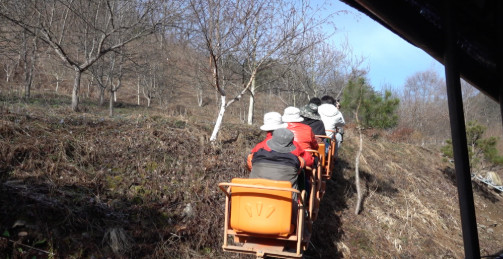 극한직업 명이나물