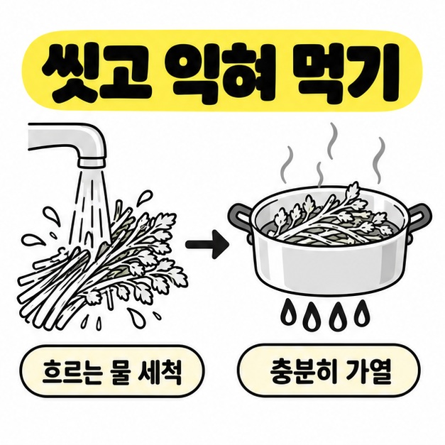 미나리를 흐르는 물로 세척한 뒤 냄비에서 충분히 가열하는 과정을 화살표로 연결한 카드.