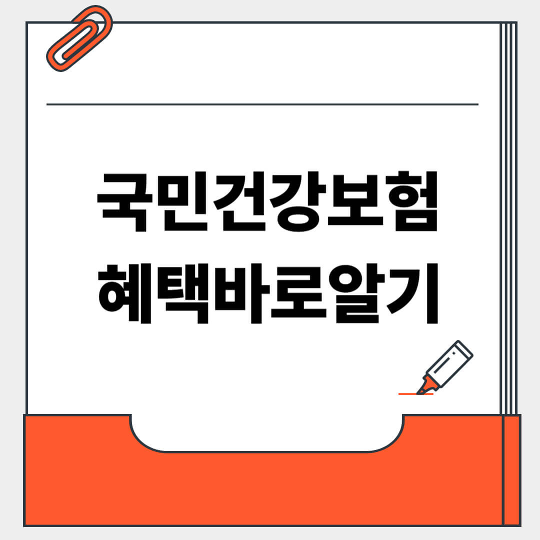 국민건강보험 혜택