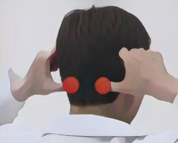 후두하근 위치