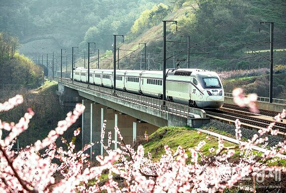 2025년 설날 기차표 (SRT) 예매 일정 및 방법: 완벽 가이드