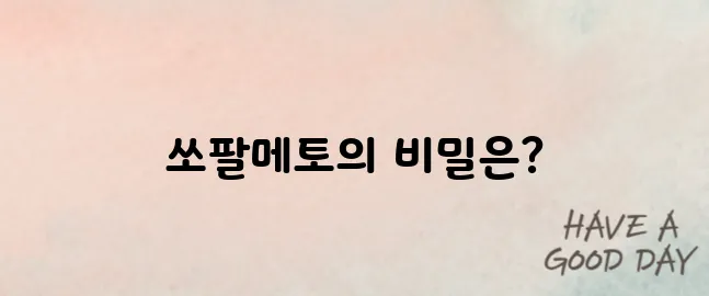 &quot;전립선 건강을 위한 쏘팔메토의 성분과 효능, 복용 전에 반드시 확인해야 할 정보&quot;