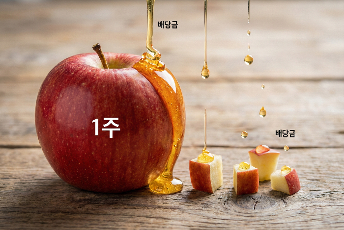 소수점 주 보유량에 비례하여 정확하게 지급되는 배당금 배분 로직.