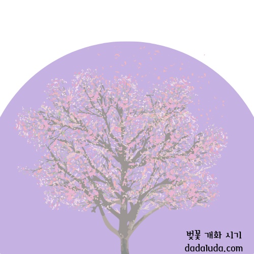 벚꽃 개화 시기 2025 인천 벚꽃 구경 볼만한 곳