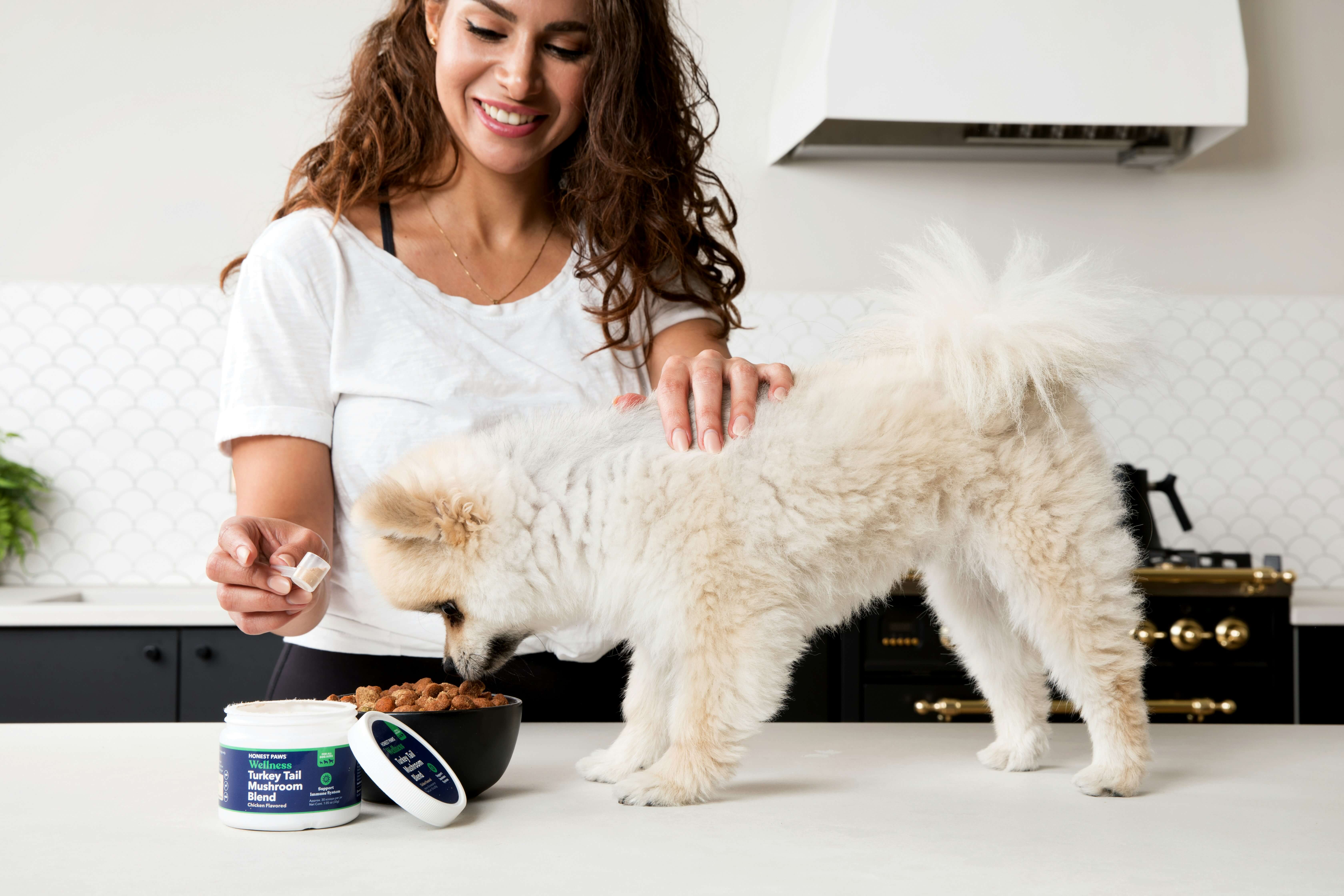 강아지 사료 급여량 계산 및 횟수