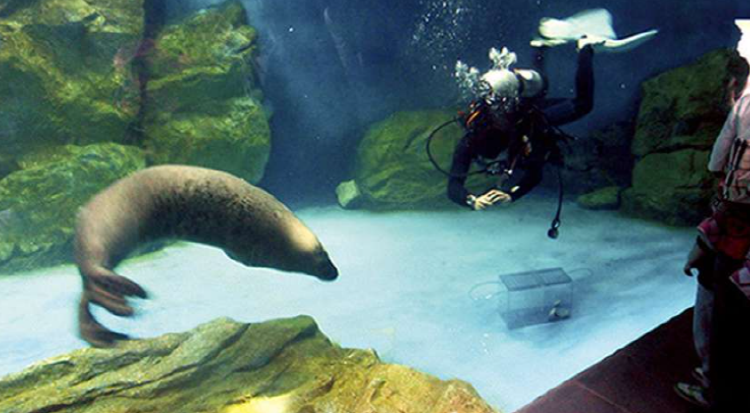 울진 아쿠아리움