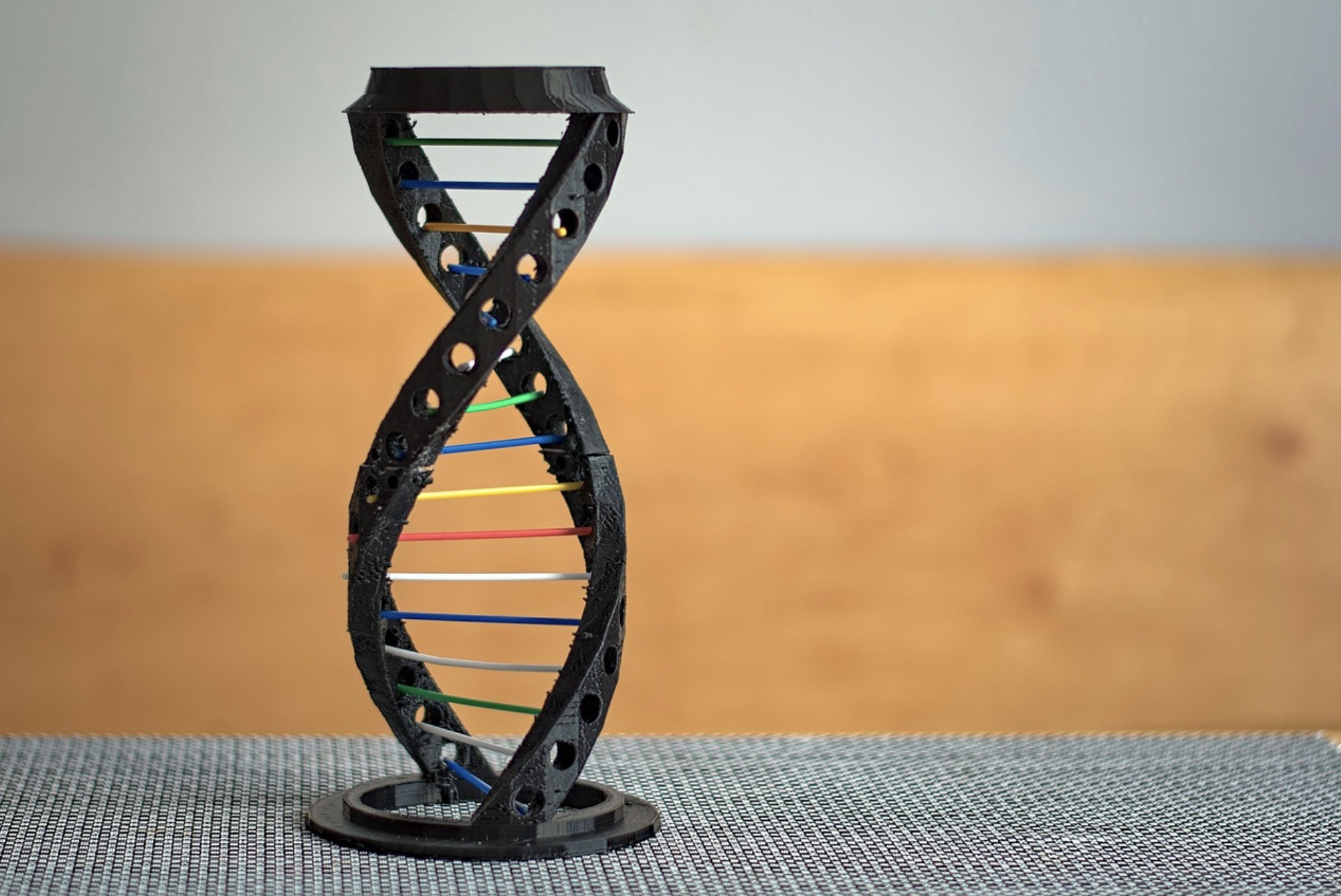 맞춤형 건강 : 유전자와 개인화 영양