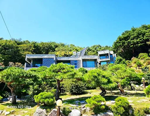 동학사로뎀나무펜션