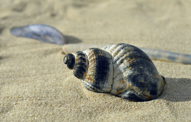 지역사랑 휴가지원사업&amp;#44; 제도&amp;#44; 지역&amp;#44; 지원제&amp;#44; 사업&amp;#44; 시범사업&amp;#44; 신청&amp;#44; 신청방법