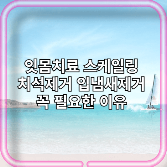잇몸치료 스케일링 치석제거 입냄새제거 꼭 필요한 이유