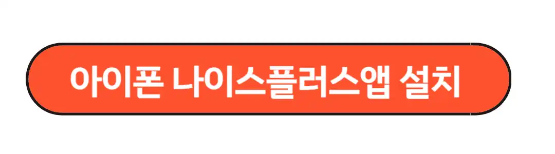 아이폰 나이스플러스앱 설치