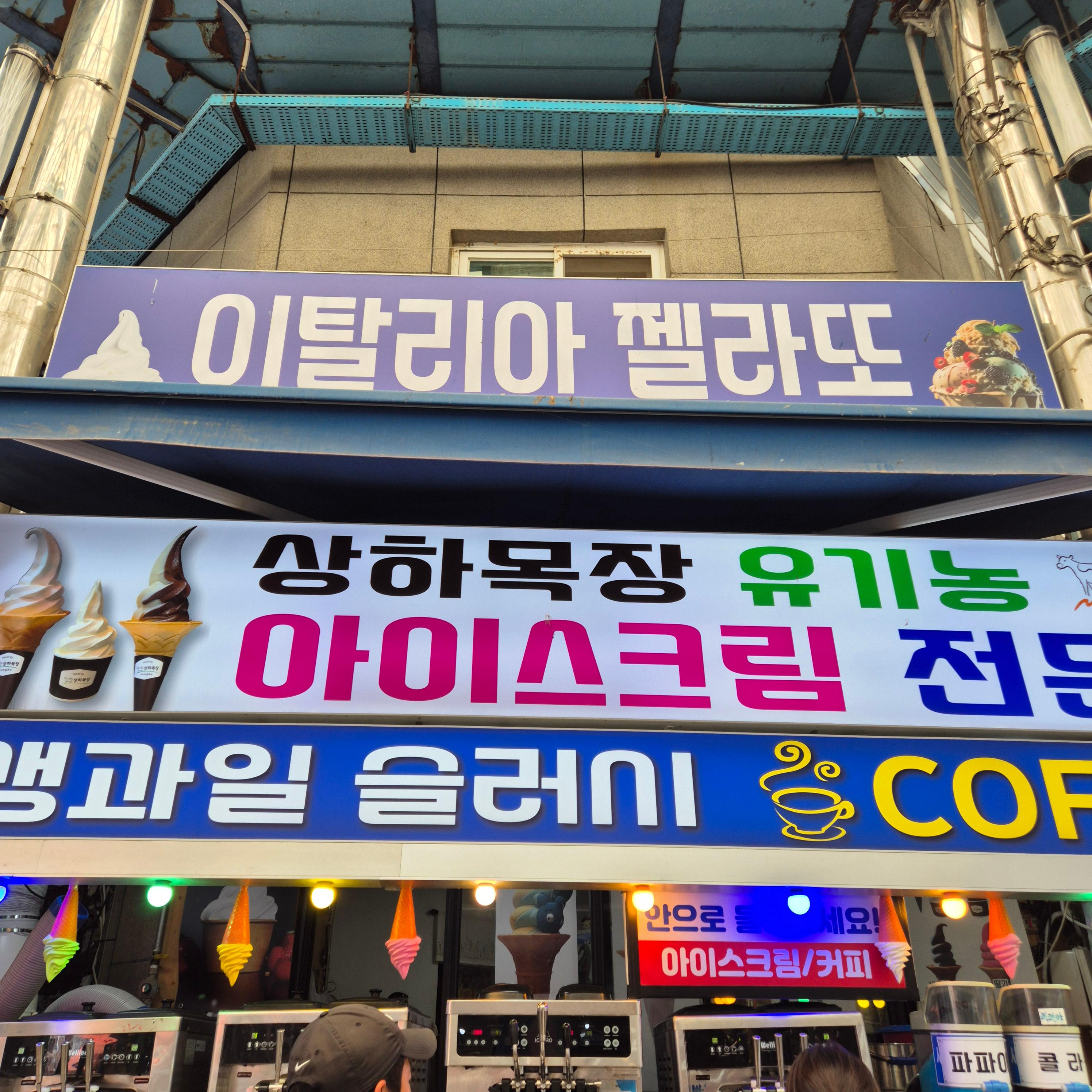 구경시장&amp;#44; 단양 구경시장&amp;#44; 충청도 순대&amp;#44; 순대전골&amp;#44; 훈이네 마늘빵&amp;#44; 오성통닭&amp;#44; 단양 닭강정&amp;#44; 흑마늘 아이스크림&amp;#44; 단양 마늘만두&amp;#44; 구경시장 주차 