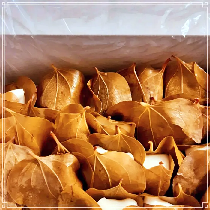 6시 내고향 경북 의령 전통시장 택배 판매 주문 망개떡 맛집