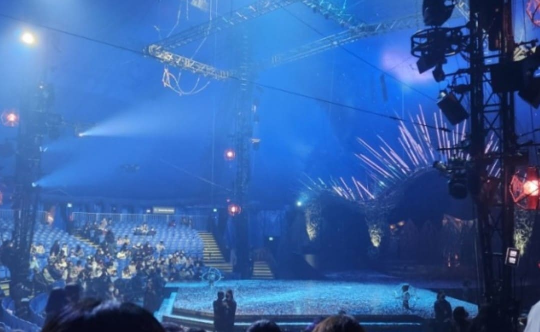 태양의 서커스 루치아 서울 부산 가격 예매 할인 좌석 주차 정보