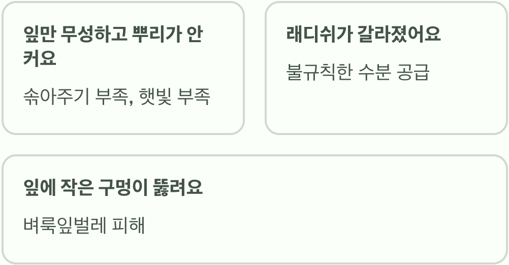 실패 없는 래디쉬 키우기 A to Z (씨앗부터 수확까지)