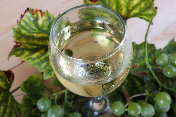 ๋ฏธ๋๋ฆฌ์ & ๋ฎ์ค์นด๋ฐ(Muscadet) ์์ธ ํ์ด๋ง๏ฝํํฅ ๊ฐ๋ํ ๋ฏธ๋๋ฆฌ์ ์ ์ ํจ๊ณผ ๋ฐ๋ค ๋ด์์ ์ฟจํ ๋ง๋จ